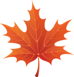 cropped-autumn_leaves_PNG3608.png